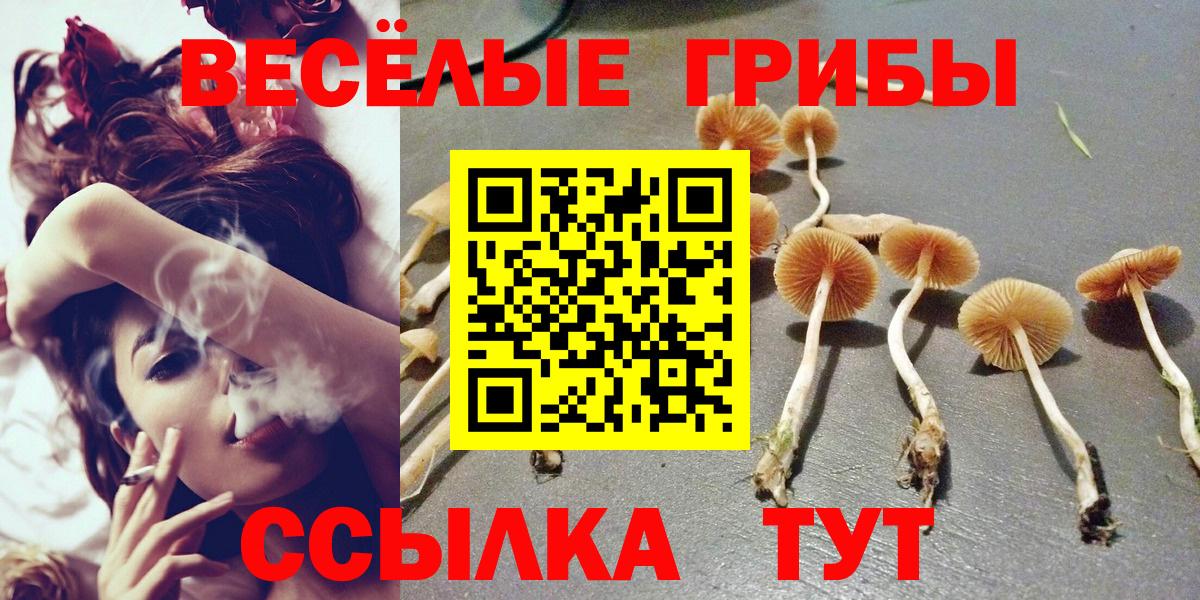 Псилоцибиновые грибы мухоморы  Псилоцибиновые грибы Psilocybine cubensis  Саяногорск  Вход с VPN 